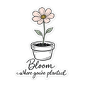Bloom Where You're Planted | Floral Motivational Sticker PNG | Digital Die-Cut | Cricut & Planner Ready